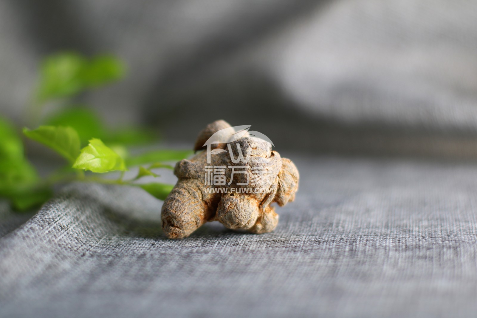 三七粉能和茶叶一起喝吗？