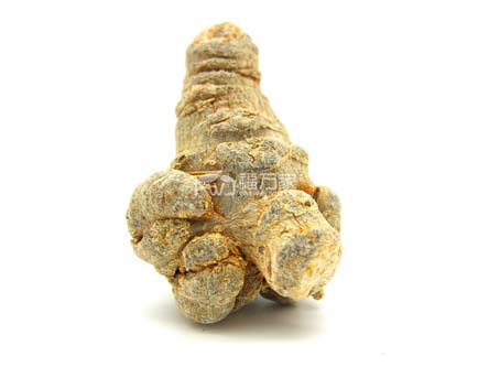 好的三七什么样