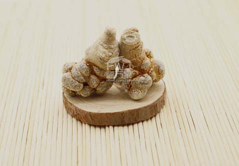 “识货”的人认可的三七当然更好